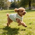 thumbnail image 1 of Moocorvic Winter Dog Vest for Small Dogs, Soft Pet Jacket Pet Clothes for Cold Weather, 1 of 7