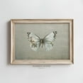 thumbnail image 1 of Moody Butterfly Wall Art, Rustic Green Grey Print, Vintage Insect Illustration, Grunge Nature Decor, Rustic Butterfly Artwork Home Decor #1479, Unframed Poster Size 8x12, 1 of 4
