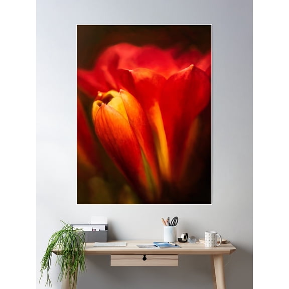Moody Clivia Poster Wall Art, Modern Wall Decor For Living Room Bedroom, 8x12 UNFRAMED