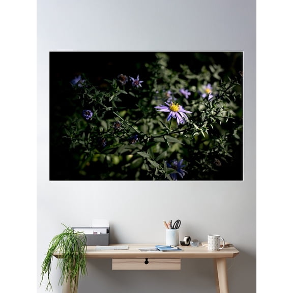 Moody Floral Photo Of A Purple Aster Poster Wall Art, Modern Wall Decor For Living Room Bedroom, 8x12 UNFRAMED
