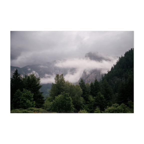 Moody Forest Landscape - British Columbia Canada Photography Foggy Mountain Forest Scenic Nature Landscape Wilderness Unframed Wall Art Print 4 x 6 inches
