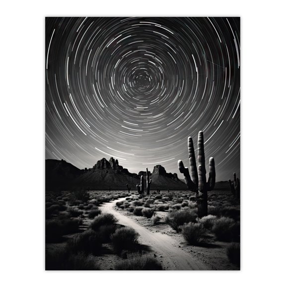 Moon And Star Time Lapse Trails Stars Tracing Their Journey Across The Sky Desert Cactus Extra Large XL Wall Art Poster Print