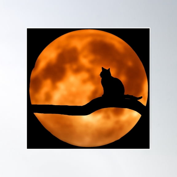 Moon Cat Poster Wall Art, Modern Wall Decor, 16x16 UNFRAMED