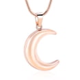 thumbnail image 1 of Moon Cremation Pendant Small Urns For Ashes Keepsake Urn Necklace, 1 of 6