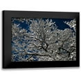 thumbnail image 1 of Moon, Katia 24x17 Black Modern Framed Museum Art Print Titled - Snow In The Forest, 1 of 5
