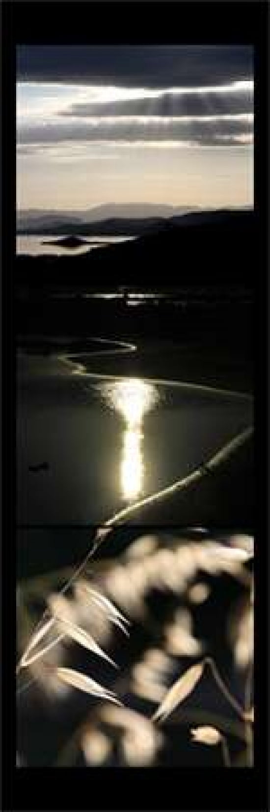 Moon Light Enchantment Canvas Art - Michel Rauscher (8 x 24)
