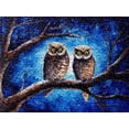 thumbnail image 1 of Moon Night Owl Birds Latch Hook Kits Rug DIY Cushion Tapestry Making Crochet Hook Mat Making Kits Color Preprinted Pattern Canvas DIY Carpet Needlework Crochet Kits 52x38cm (G11-112), 1 of 7