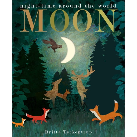 Moon : Night-time Around the World