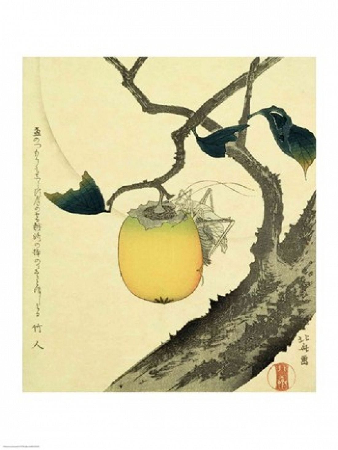 Moon Persimmon and Grasshopper 1807 Canvas Art - Katsushika Hokusai (24 x 36)