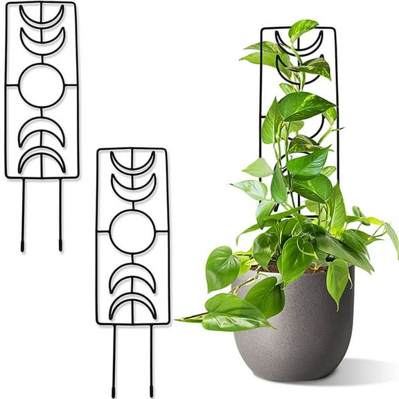 Moon Phase Plant Trellis for Climbing Plant Outdoor Indoor 14.1inch Small Garden Metal Wire Trellis for VineIvy Flower Potted Plant Support