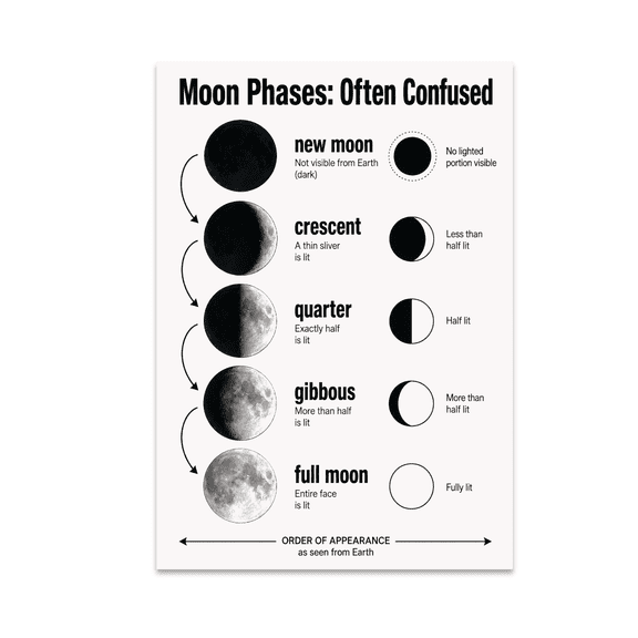 Moon Phases Educational Reference - Astronomy Student - 13x19 Poster Print