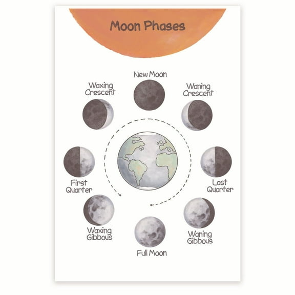 Moon Phases - Moon Cycle Chart - Moon Chart - Lunar Phases Guide - Lunar Cycle