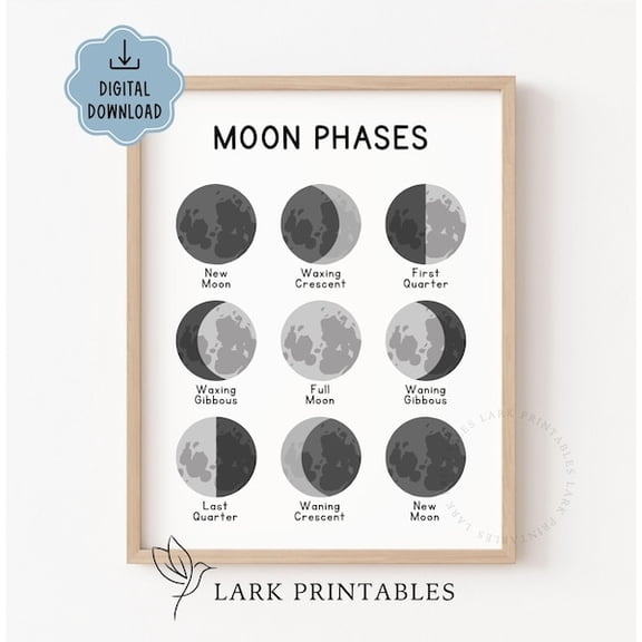 Moon Phases Poster Printable Homeschool Educational Poster, Solar System Print Moon Phase Wall art Montessori Toddler Learning Nursery Decor, Unframed Paper Poster 8x10in