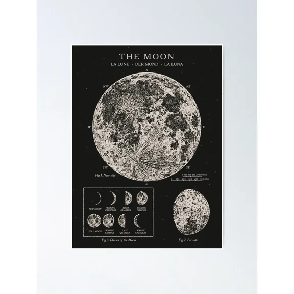 Moon Phases Vintage Poster Unframed Size 24''x36'' GooGate