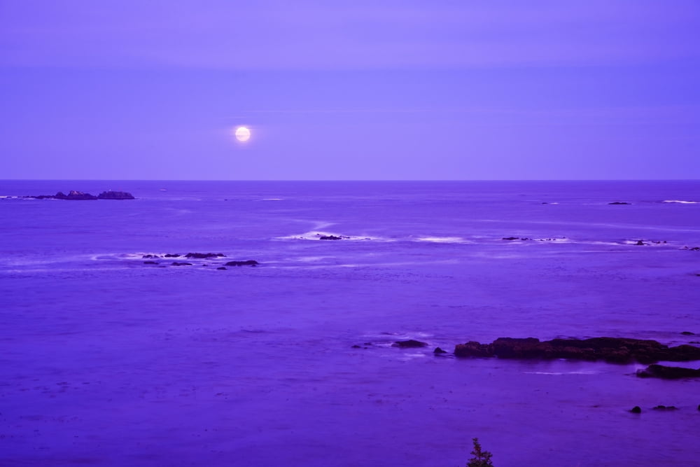 Moon Rises Over Monashka Bay At Ft Abercrombie State Park On Kodiak Island Alaska Canvas Art - Michael DeYoung Design Pics (34 x 22)