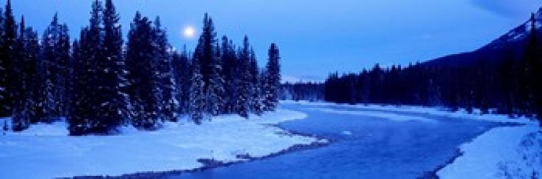 Moon Rising Above The Forest Banff National Park Alberta Canada Canvas Art - Panoramic Images (37 x 12)