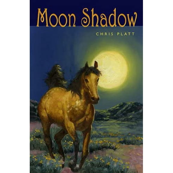 Pre-Owned Moon Shadow (Paperback) 1561455466 9781561455461