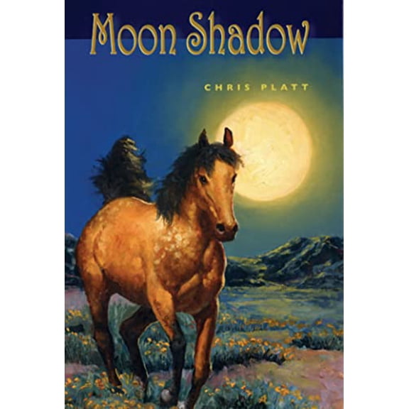 Pre-Owned Moon Shadow (Hardcover) 156145382X 9781561453825