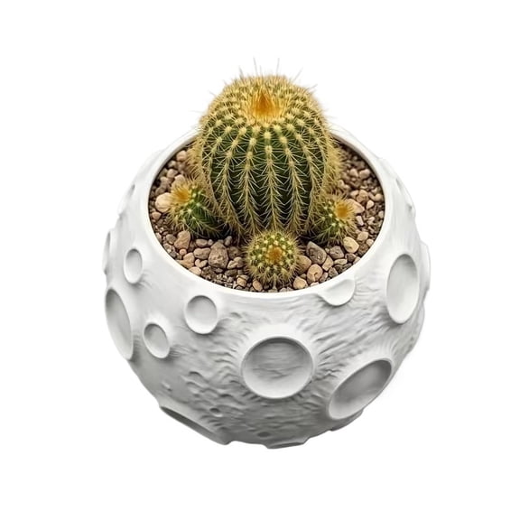 Moon Shape Cactus Planter Pot - Succulent Plant Pot Without Drainage Holes, Desktop Decorative Flower Pot for Cacti and Succulents, Creative Home Office Tabletop Ornament