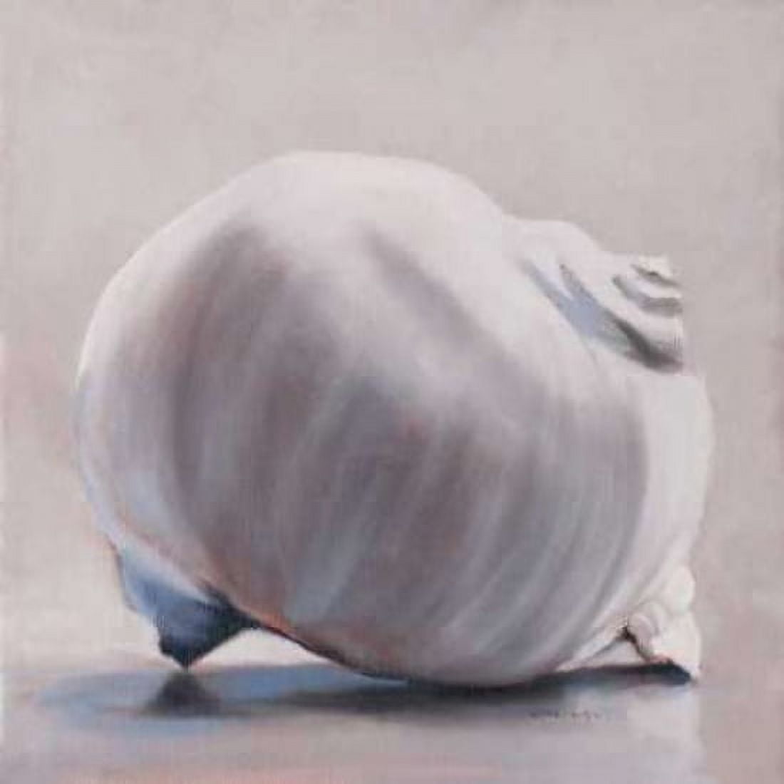 Moon Snail Canvas Art - Chris Witkowski (24 x 24)