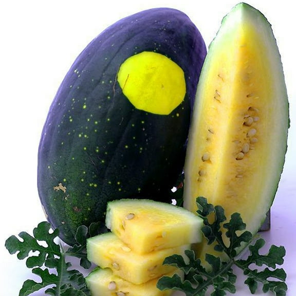 Moon &amp; Stars Yellow Flesh Watermelon - 2 g ~25 Seeds - Heirloom, Open Pollinated, Non-GMO, Farm &amp; Vegetable Gardening / Fruit Seeds
