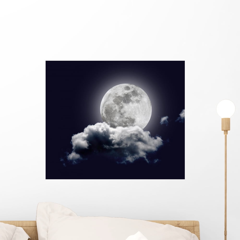 Moon Wall Mural Decal Sticker, Wallmonkeys Peel & Stick Vinyl Graphic ...