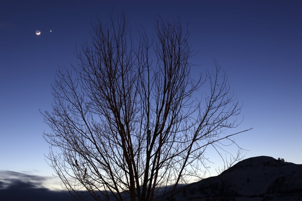 Moon and Venus Conjunction Canvas Art - Yuichi TakasakaStocktrek Images (35 x 23)