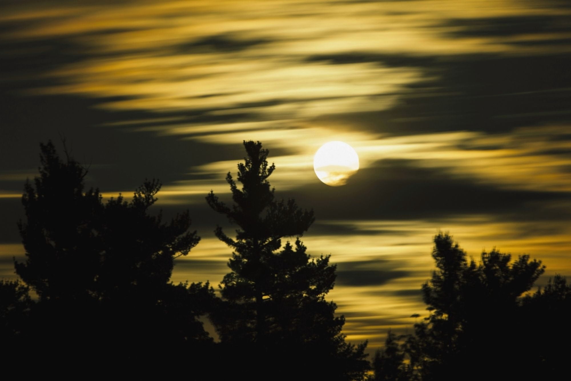 Moon and clouds Mont-Saint-Bruno National Park Monteregie region Quebec Canada Canvas Art - Yves Marcoux Design Pics (19 x 12)