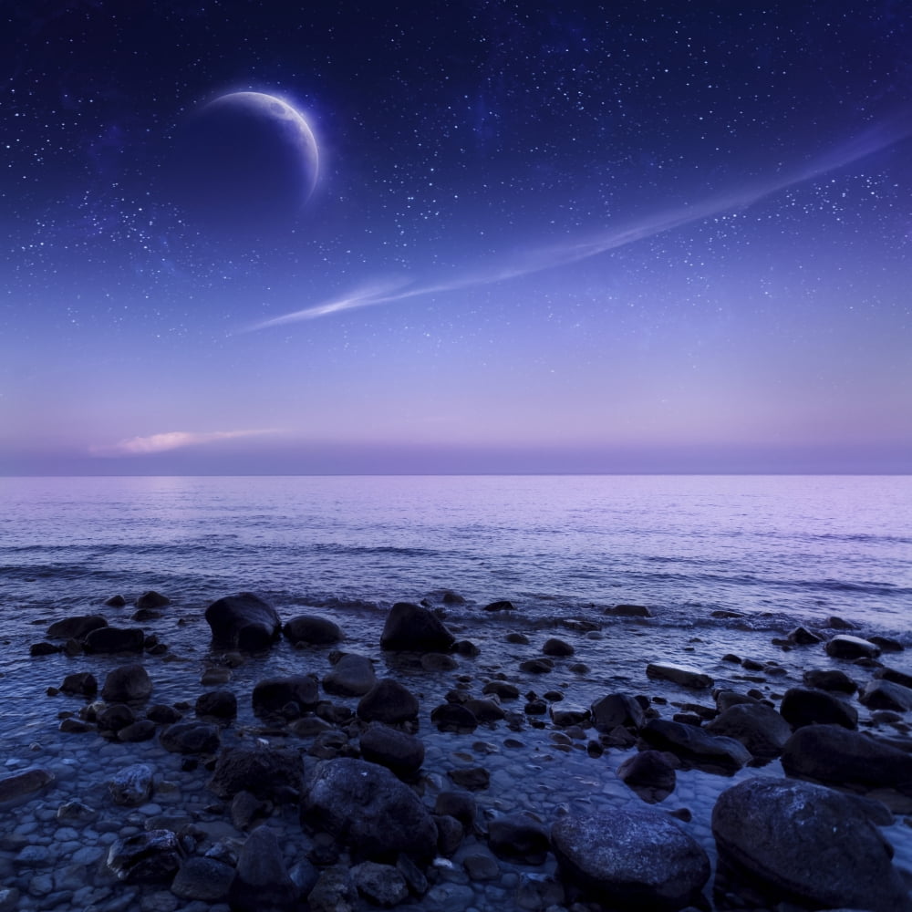 Moon rising over rocky seaside against starry sky Canvas Art - Evgeny KuklevStocktrek Images (29 x 29)