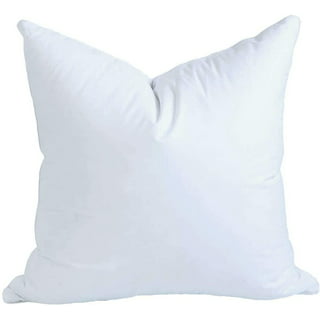 Peace Nest 2 Pack Feather Down Throw Pillow Insert, Blue, 26 X 26 : Target