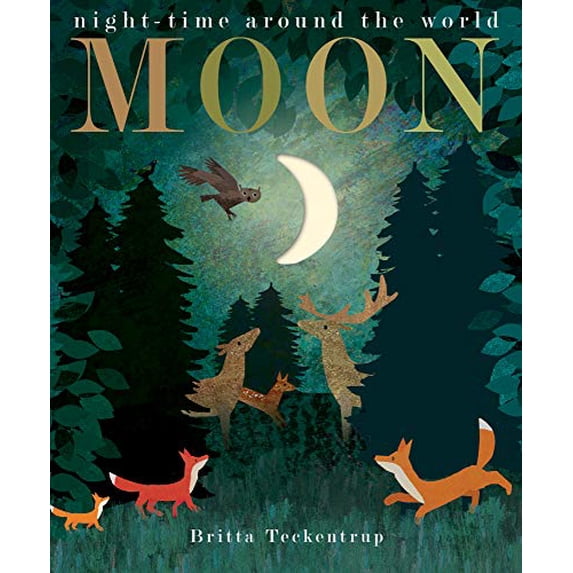 Pre-Owned Moon: night-time around the world (Hardcover) by Patricia Hegarty