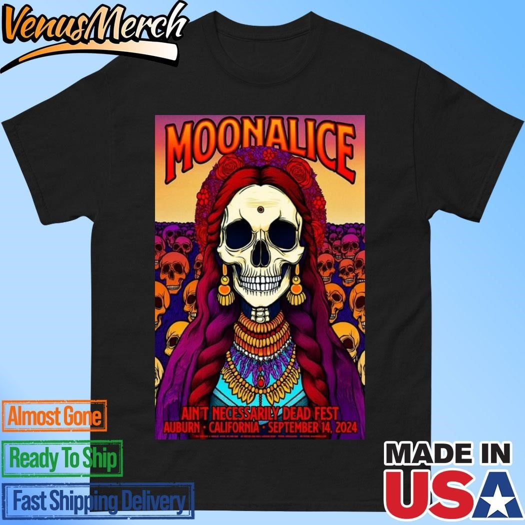 Moonalice Sept 14 2024 Aint Necessarily Dead Music Festival In Auburn