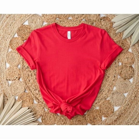 Moonlight Apparel Funny Teacher Shirt A Lot to Teach at the Moment Graphic Tee for Educators Comfort Multi-Colors T-Shirt Teacher Life Humor Gift for Women & Men