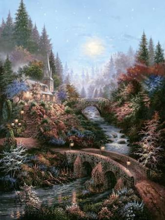 Moonlight Grace Canvas Art - Klaus Strubel (18 x 24)