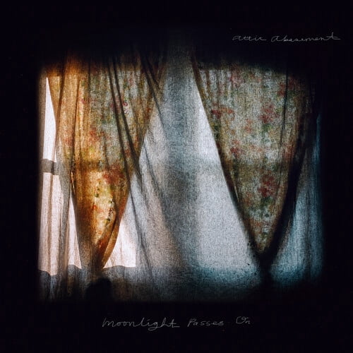 Attic Abasement - Moonlight Passes on - Music & Performance - Vinyl