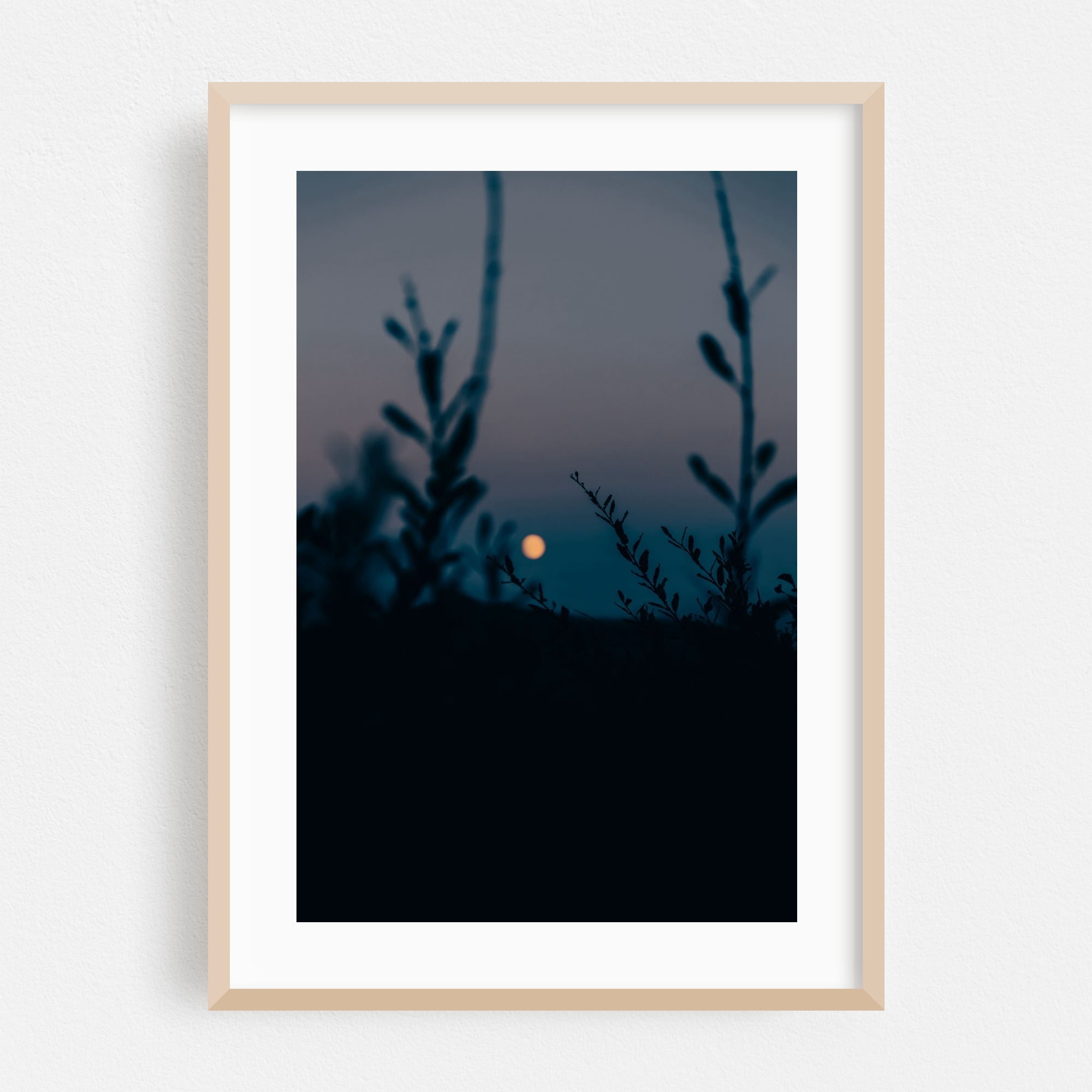 Moonlight - Photography Moon Night Sky Nature Minimalist Landscape Mystical Wilderness Oak ... - Framed Minimalist Landscape Photography