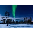 thumbnail image 1 of Moonlight and aurora borealis, Forramarka, Troms, Norway Poster Print by Arild Heitmann/Stocktrek Images (17 x 11), 1 of 1