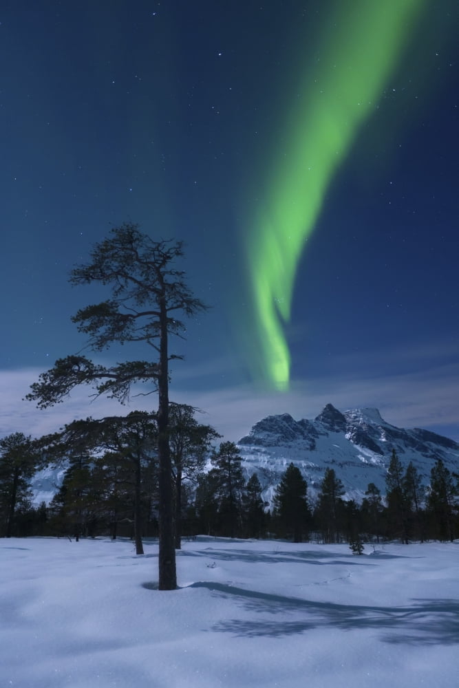 Moonlight and aurora over Nova Mountain Wilderness Norway Canvas Art - Arild HeitmannStocktrek Images (23 x 34)
