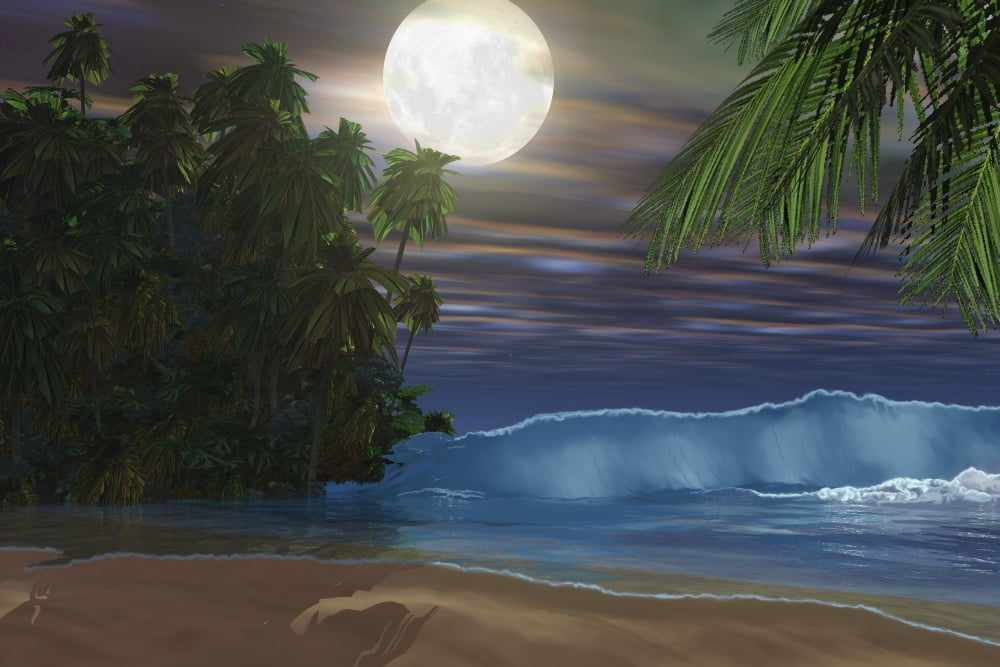 Moonlight shines down on the beach during the night of a full moon Canvas Art - Corey FordStocktrek Images (18 x 12)