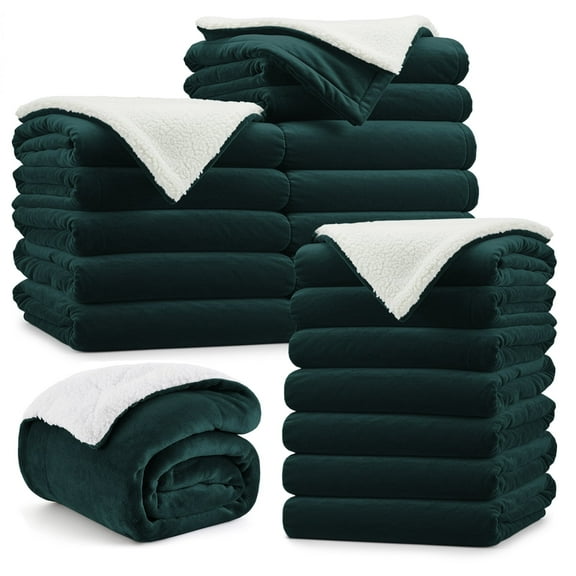 Moonlight20015 Wholesale Sherpa Fleece Throw Blankets 20-Packs Warm & Soft Plush Throw Size for Charity, Shelter, & Home Washable, Lightweight & Cozy Emerald