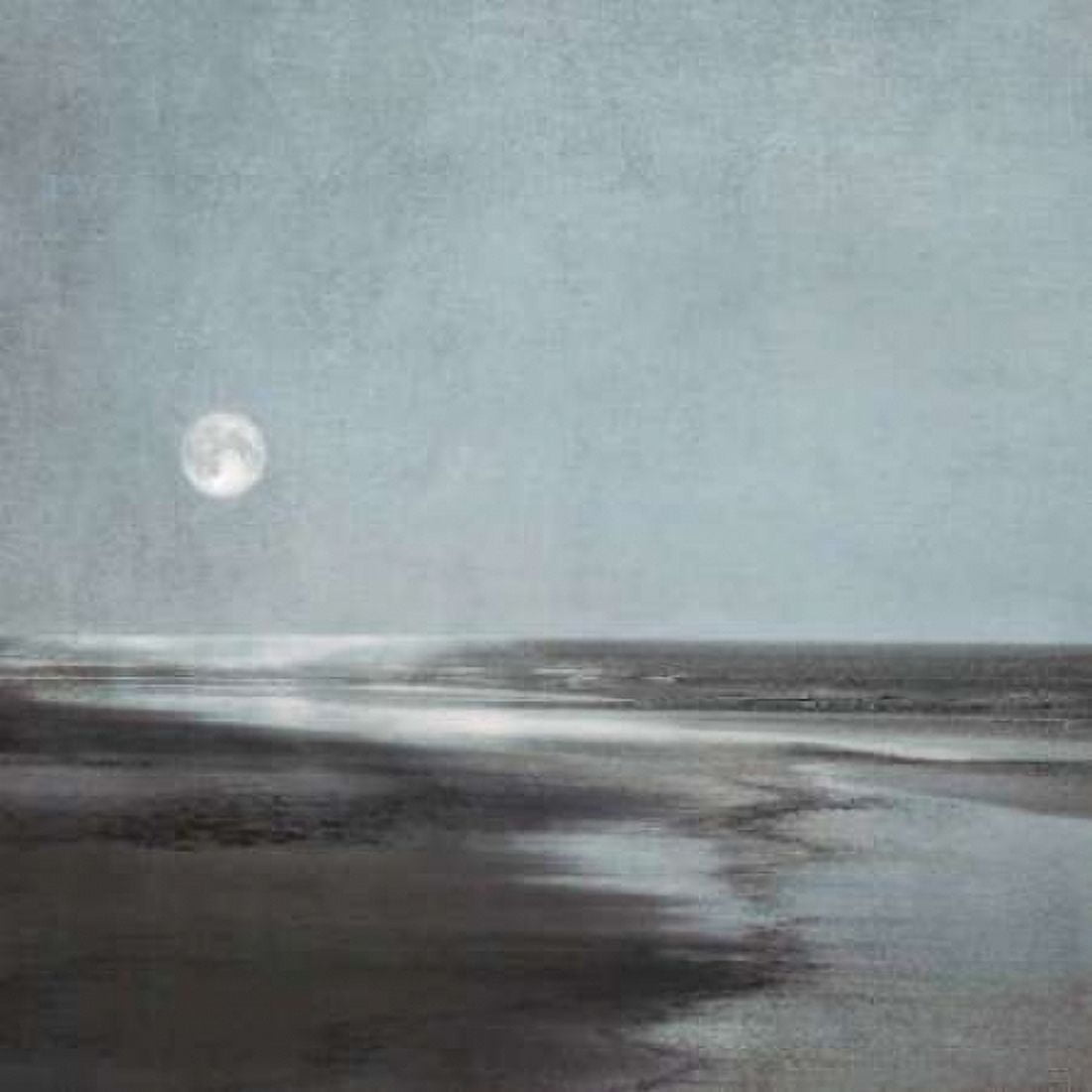 Moonlit Beach Canvas Art - Ily Szilagyi (24 x 24)