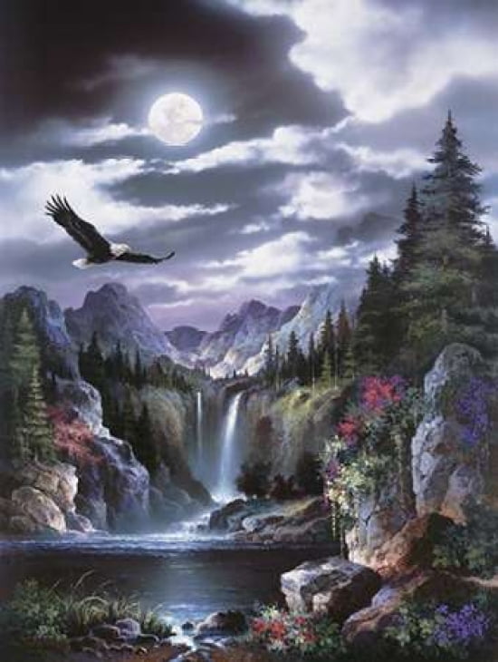 Moonlit Eagle Canvas Art - James Lee (18 x 24)