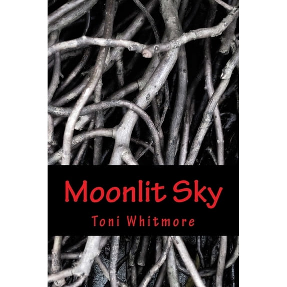 Moonlit Sky Trilogy: Moonlit Sky (Paperback)