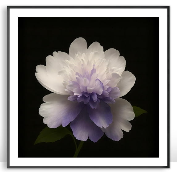 Moonow7 Moody Floral Poster Wall Art Prints, Purple White Peony Botanical Artwork Picture for Bedroom, Hallway, Entryway, Living Room Home Decoration, Unframed Size 18x18 inch / 45x45 cm