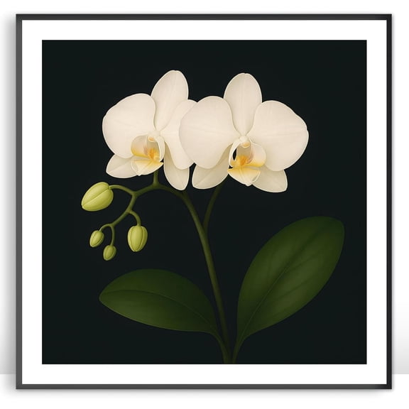 Moonow7 White Orchid Wall Art Prints, Zen-Inspired Floral Poster for Living Room Wall Display, Minimal Botanical Artwork for Bedroom Hallway or Office Space, Unframed Size 45x45 cm / 18x18”