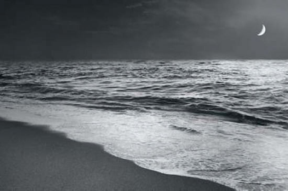 Moonrise Beach Black and White Canvas Art - Sue Schlabach (24 x 36)