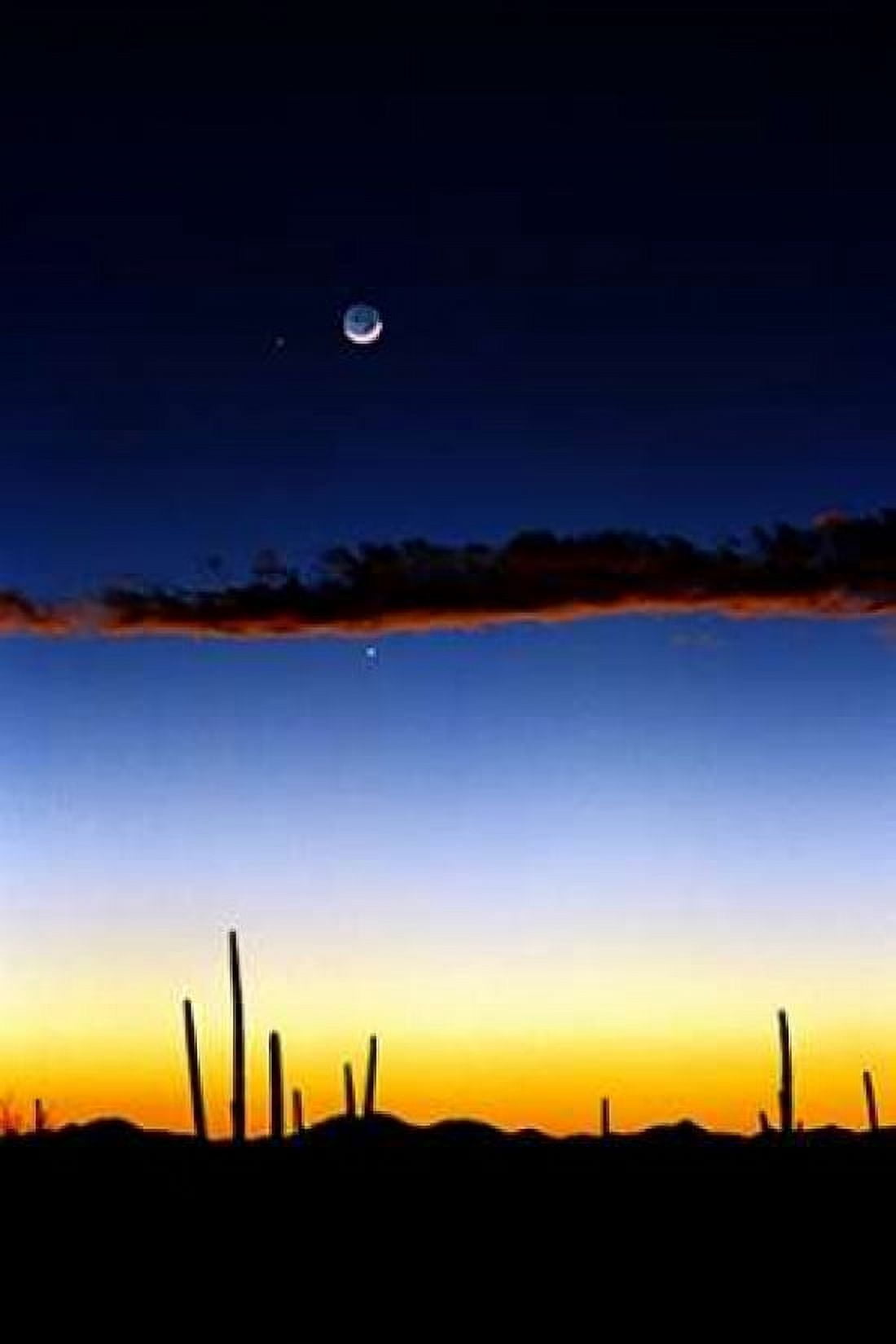 Moonrise Canvas Art - Douglas Taylor (24 x 36)