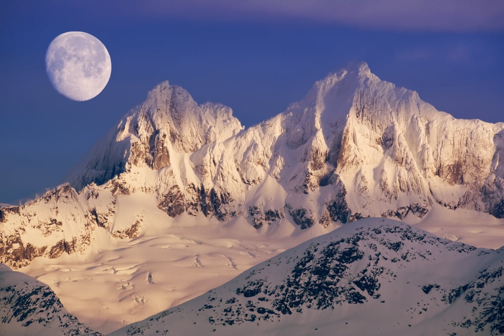Moonrise Dawn Over Mendenhall Towers Coast Mountains Tongass National Forest Se Alaska Composite Canvas Art - John Hyde Design Pics (36 x 24)