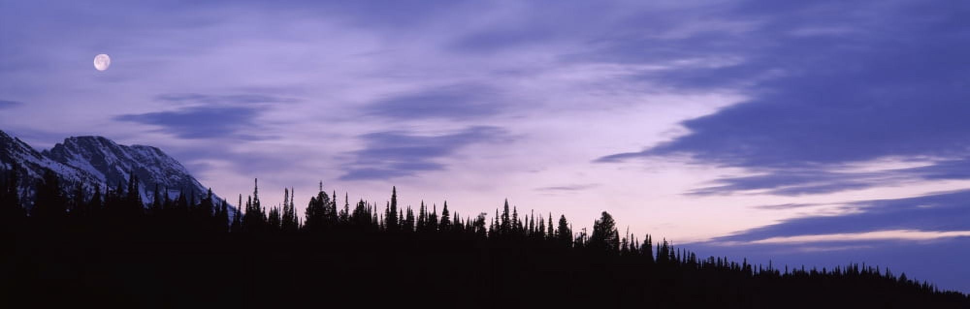 Moonrise Mt Moran Grand Teton National Park WY Canvas Art - Panoramic Images (27 x 9)