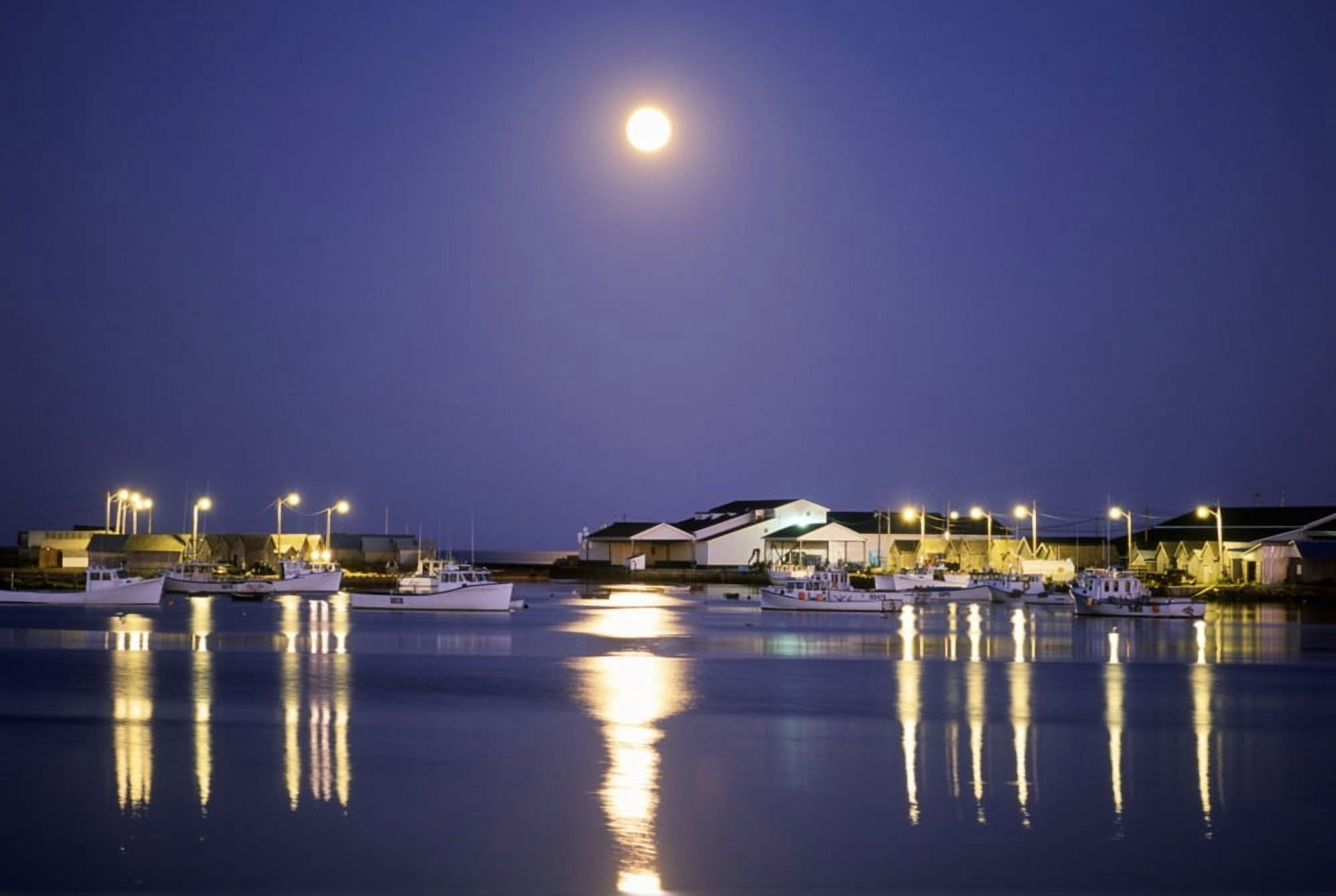 Moonrise Over Fishing Boats Graham Pond Prince Edward Island Canvas Art - David Nunuk Design Pics (17 x 11)